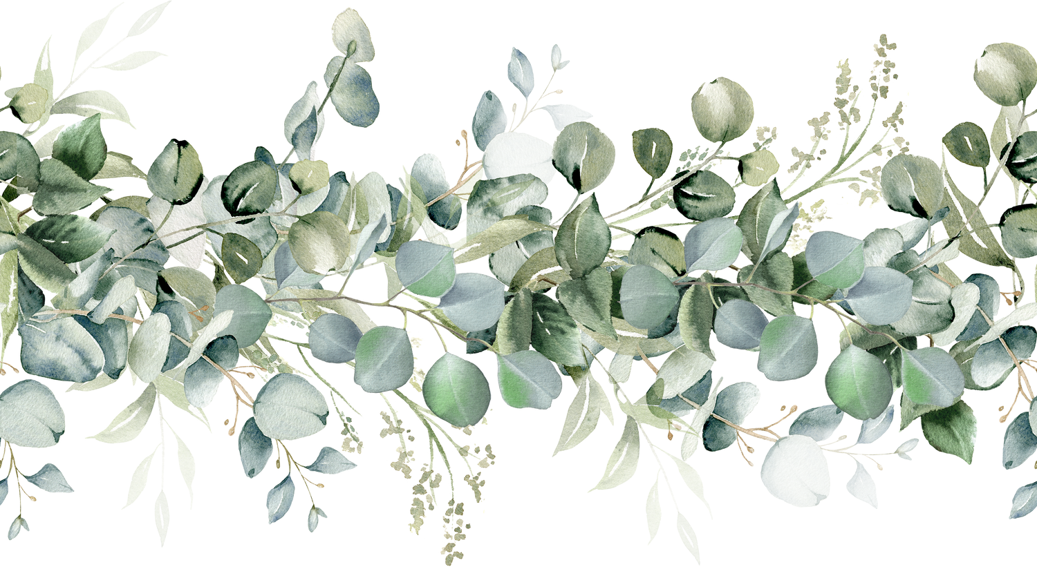 Eucalyptus seamless border. Watercolor greenery